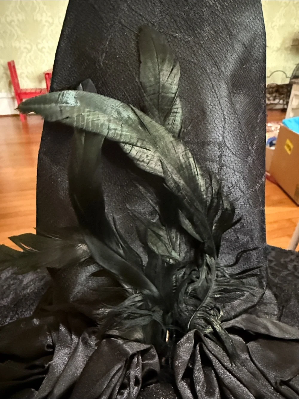 Black Lace Witch Hat with Feather Trim -
